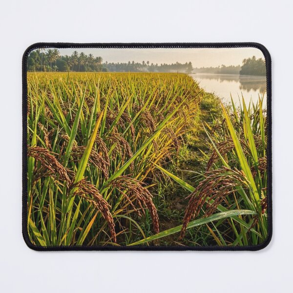 Item preview, Rich Harvest: Navara Rice Fields   designed and sold by Mindful Heritage.