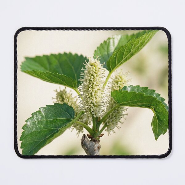 Item preview, Fresh Mulberry Spring Blossoms and Green Leaves designed and sold by Mindful Heritage.