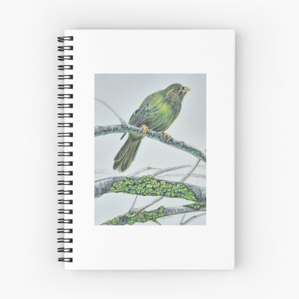 Item preview, The Bell Miner - Watercolour designed and sold by nicoleliz.