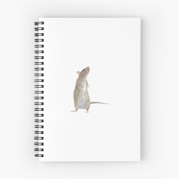 Item preview, Realistic Standing Rat Sticker designed and sold by KrisGraphic45.