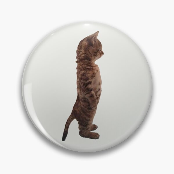 Item preview, Curious Cat designed and sold by coffee with ice.