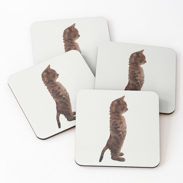 Item preview, Curious Cat designed and sold by coffee with ice.