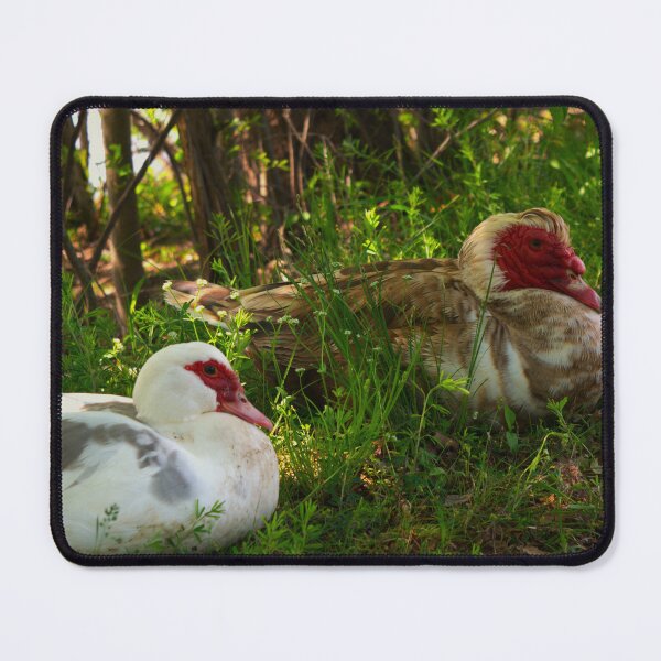 Item preview, A Waddling of Love Birds designed and sold by PictUrPoise.