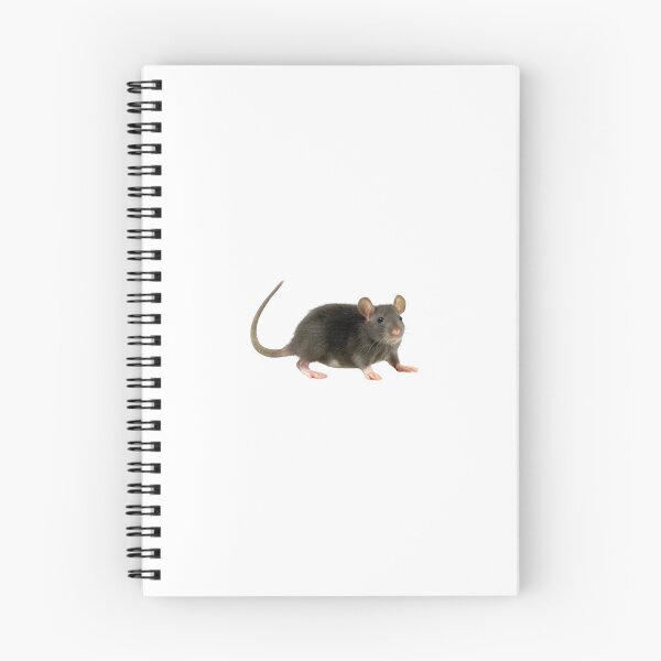 Item preview, Realistic Dark Fancy Rat Sticker designed and sold by KrisGraphic45.