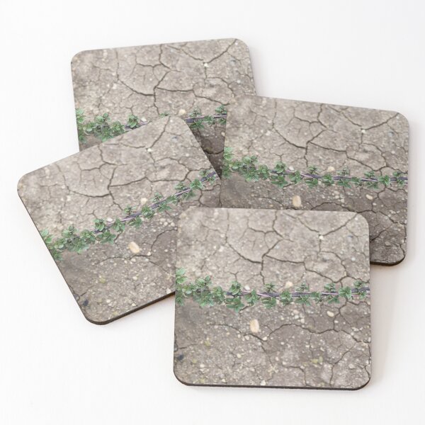 Item preview, Fresh Mint Growing Over Cracked Dry Soil designed and sold by yaserphotograph.