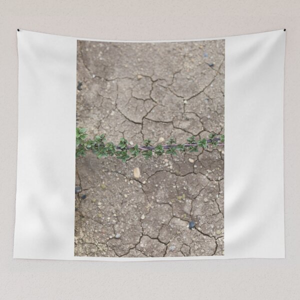Item preview, Fresh Mint Growing Over Cracked Dry Soil designed and sold by yaserphotograph.