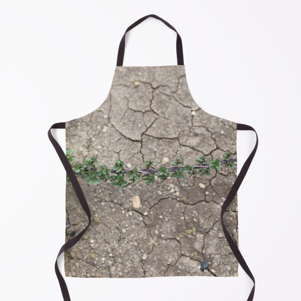 Item preview, Fresh Mint Growing Over Cracked Dry Soil designed and sold by yaserphotograph.