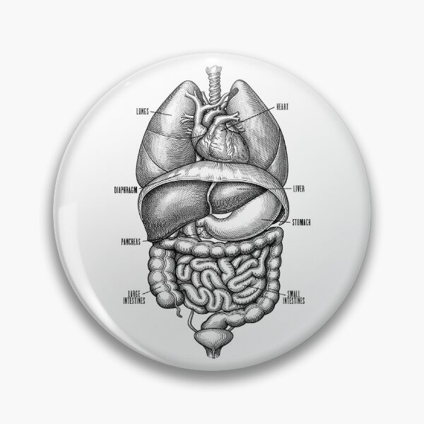Item preview, Nurse Doctor Vintage Anatomy Human Internal Organs designed and sold by GrandeDuc.