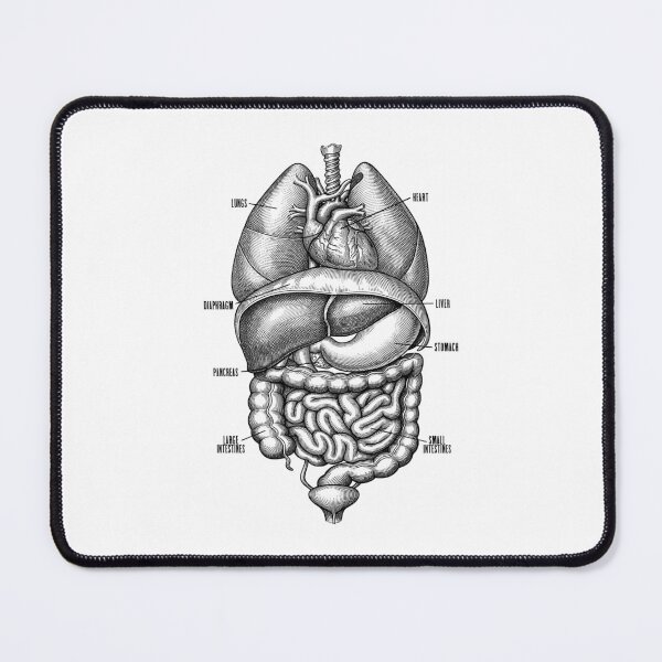 Item preview, Nurse Doctor Vintage Anatomy Human Internal Organs designed and sold by GrandeDuc.