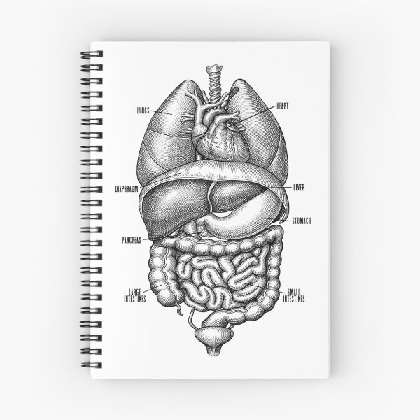 Item preview, Nurse Doctor Vintage Anatomy Human Internal Organs designed and sold by GrandeDuc.