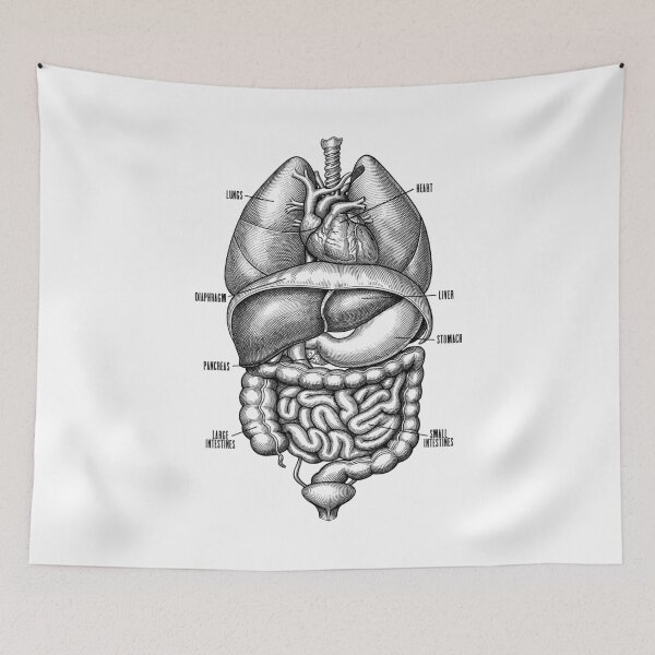 Item preview, Nurse Doctor Vintage Anatomy Human Internal Organs designed and sold by GrandeDuc.