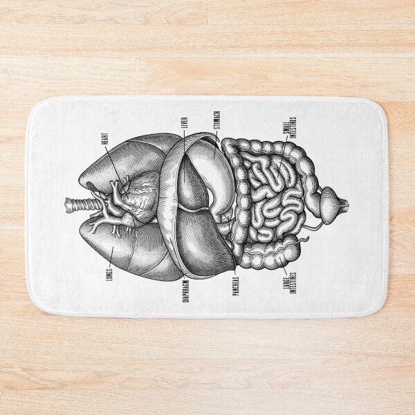 Item preview, Nurse Doctor Vintage Anatomy Human Internal Organs designed and sold by GrandeDuc.