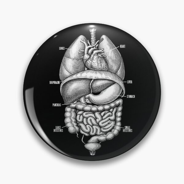 Item preview, Nurse Doctor Vintage Anatomy Human Internal Organs designed and sold by GrandeDuc.