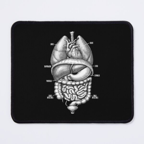 Item preview, Nurse Doctor Vintage Anatomy Human Internal Organs designed and sold by GrandeDuc.