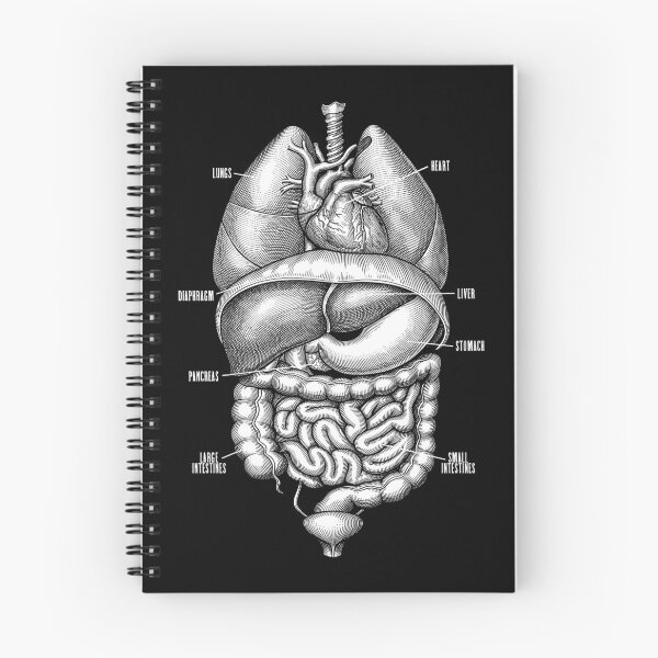 Item preview, Nurse Doctor Vintage Anatomy Human Internal Organs designed and sold by GrandeDuc.