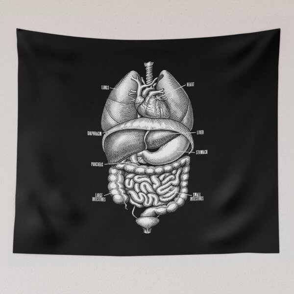 Item preview, Nurse Doctor Vintage Anatomy Human Internal Organs designed and sold by GrandeDuc.