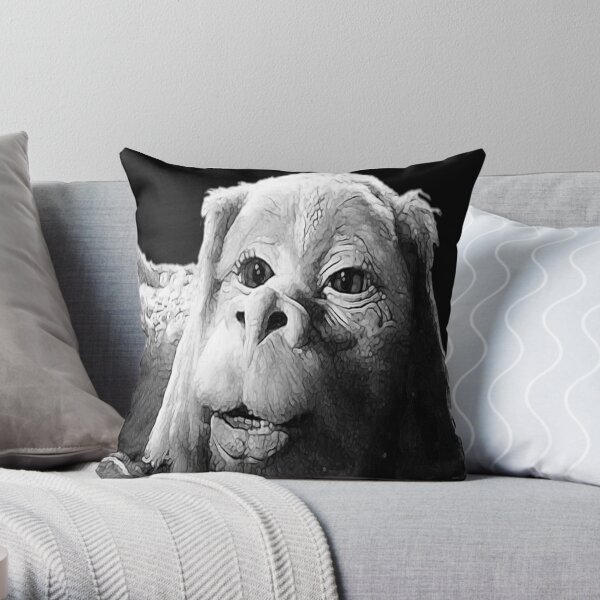 Falkor le dragon de chance de la conception de l'histoire sans fin Coussin