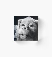 Falkor The Luck Dragon From The Neverending Story Design Acrylic Block