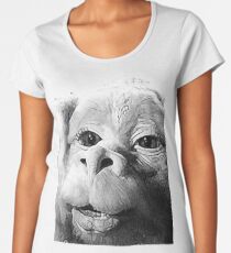 Falkor The Luck Dragon From The Neverending Story Design Women's Premium T-Shirt
