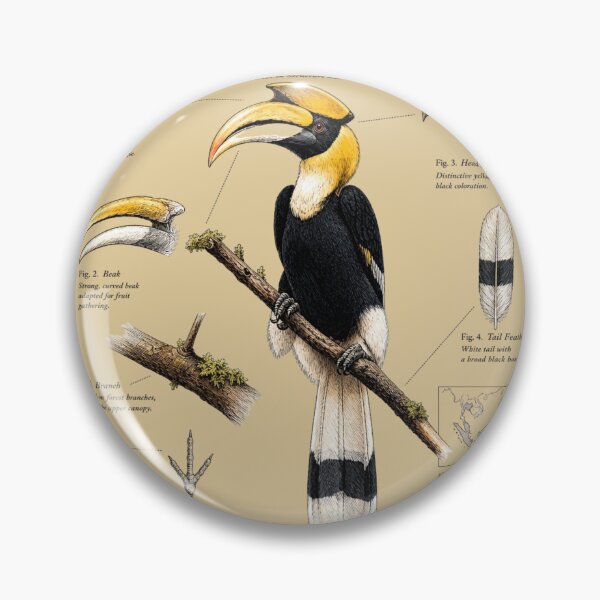 Item preview, Great Hornbill (Buceros bicornis) Vintage Scientific Illustration designed and sold by RPNdesign.