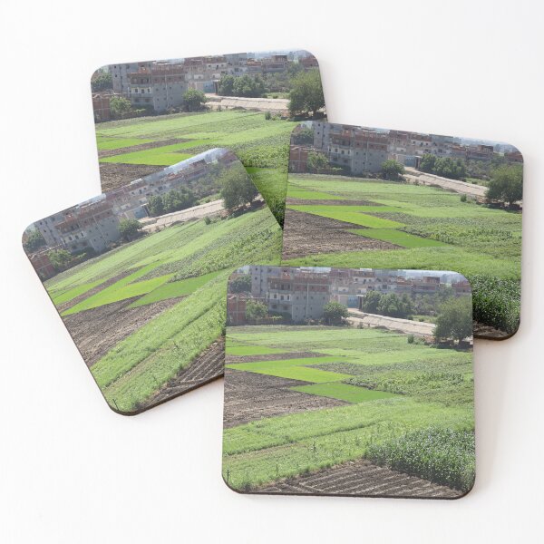 Item preview, Beautiful view of plants designed and sold by yaserphotograph.