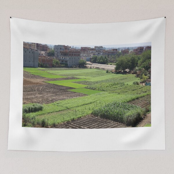 Item preview, Beautiful view of plants designed and sold by yaserphotograph.