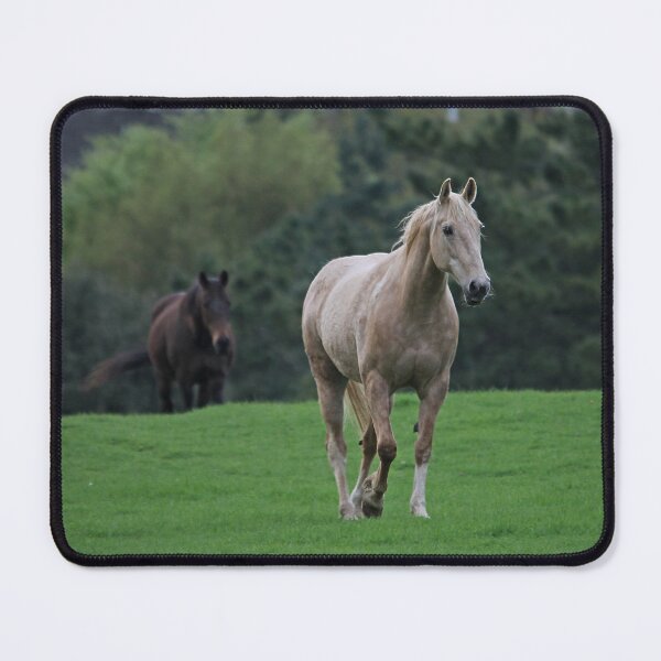 Item preview, mixed pair designed and sold by Murph's Images.