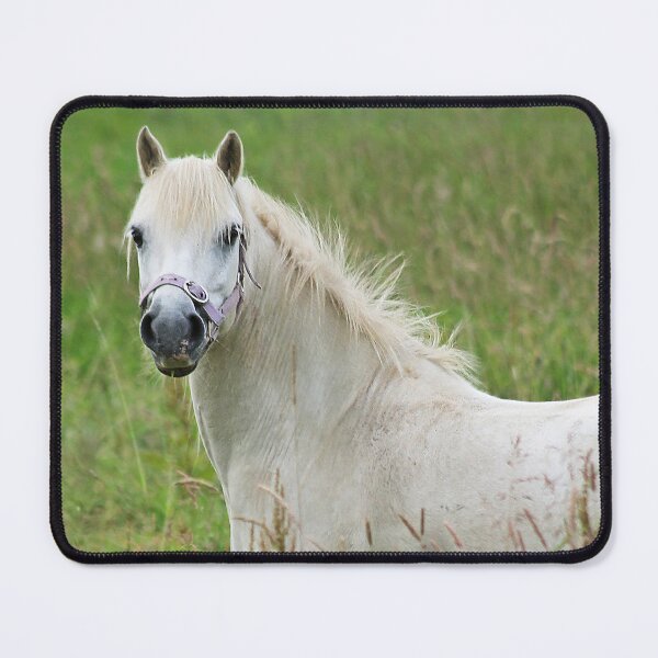 Item preview, let me ride away designed and sold by Murph's Images.