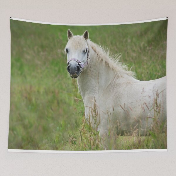 Item preview, let me ride away designed and sold by Murph's Images.