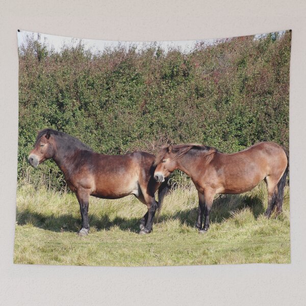 Item preview, backs to the wind designed and sold by Murph's Images.