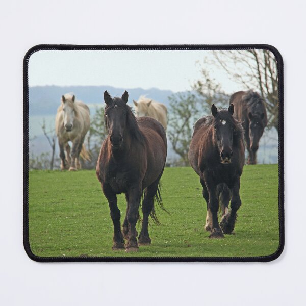 Item preview, heavy horses designed and sold by Murph's Images.