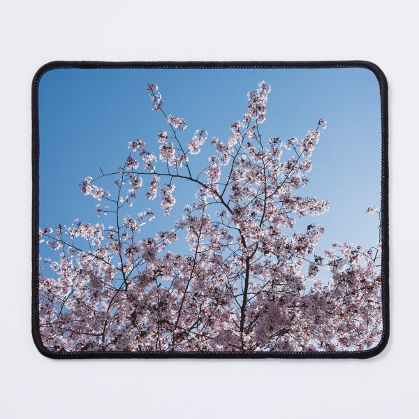 Item preview, Happy Spring Sunshine with Sakura Cherry Treetop Blossoming Against Blue Sky designed and sold by Georgia Mizuleva.