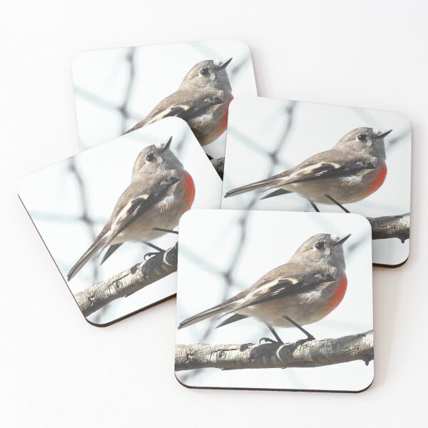 Item preview, A Little Robin designed and sold by Melville.Collective.
