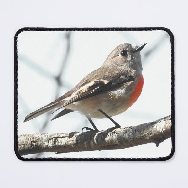 Item preview, A Little Robin designed and sold by Melville.Collective.