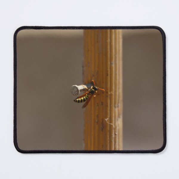 Item preview, Picture of a naughty wasp designed and sold by yaserphotograph.