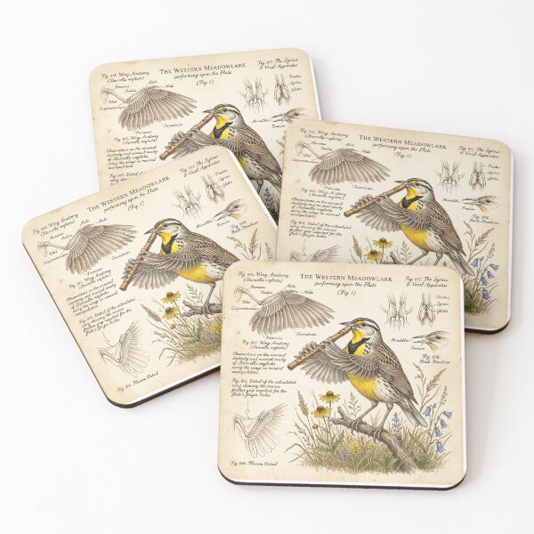 Item preview, Western Meadowlark Playing Flute – Funny Bird Illustration designed and sold by Comfort-shirt.