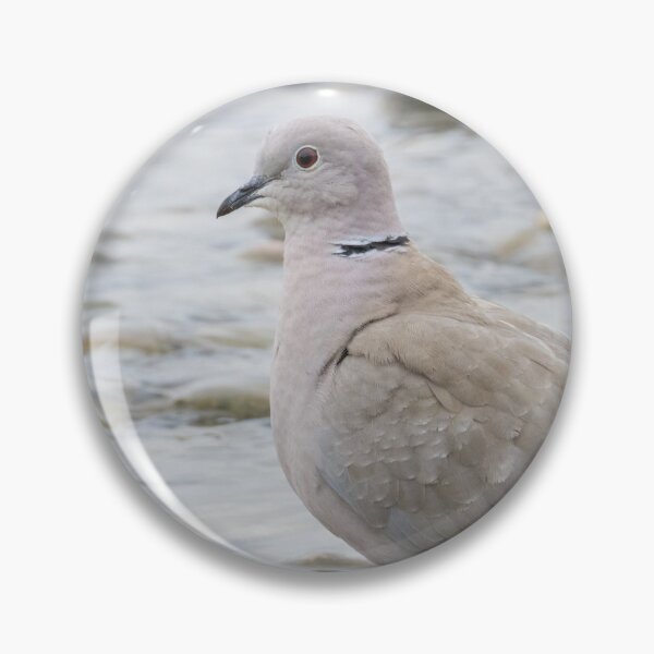 Item preview, Collared Dove designed and sold by LaurenTucker.