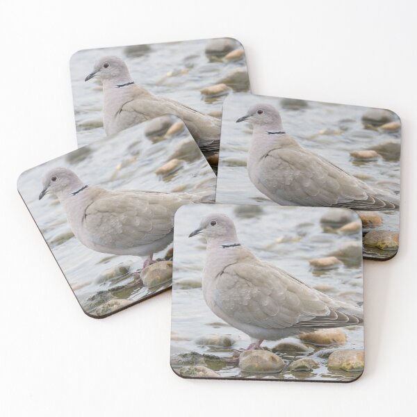 Item preview, Collared Dove designed and sold by LaurenTucker.