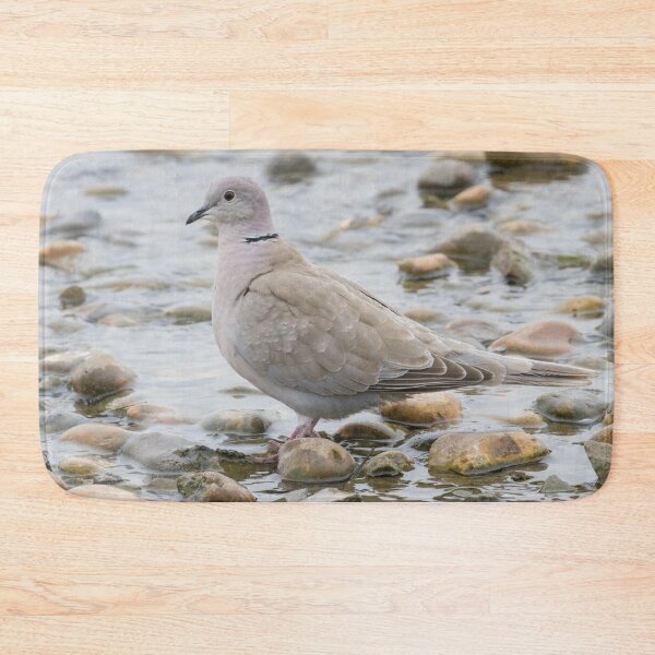 Item preview, Collared Dove designed and sold by LaurenTucker.