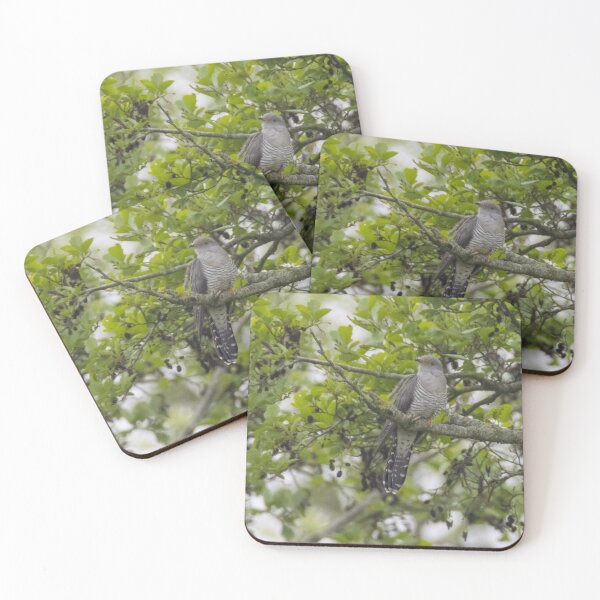 Item preview, Common Cuckoo designed and sold by LaurenTucker.