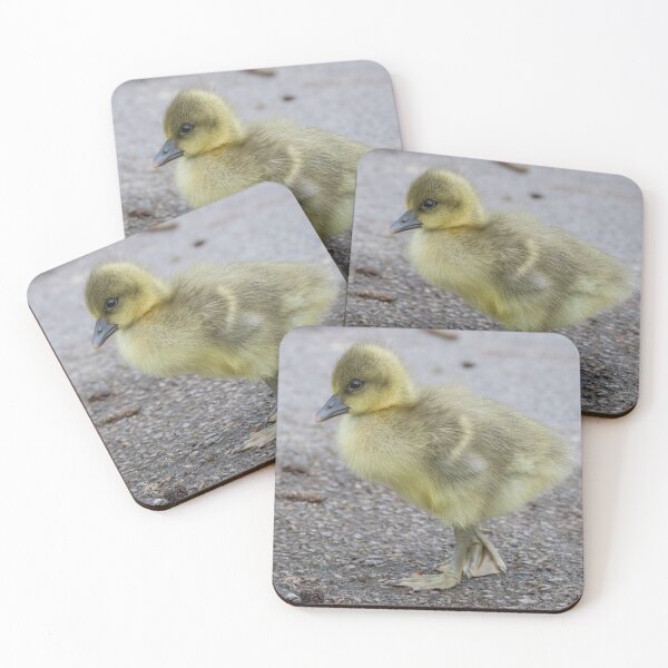 Item preview, Greylag Goose designed and sold by LaurenTucker.