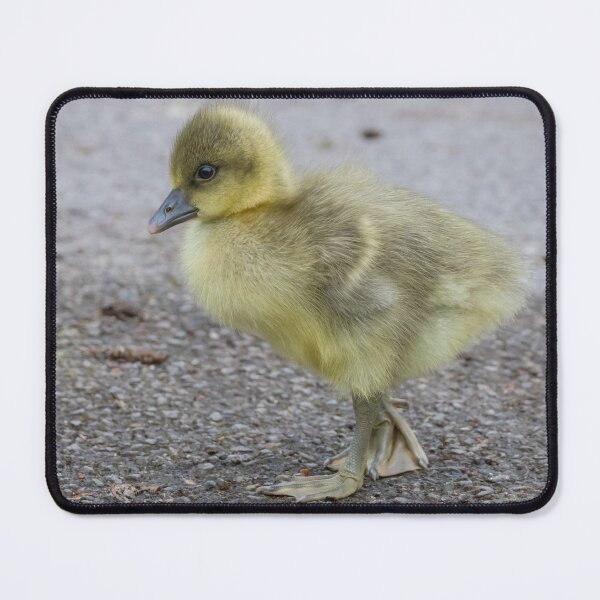 Item preview, Greylag Goose designed and sold by LaurenTucker.