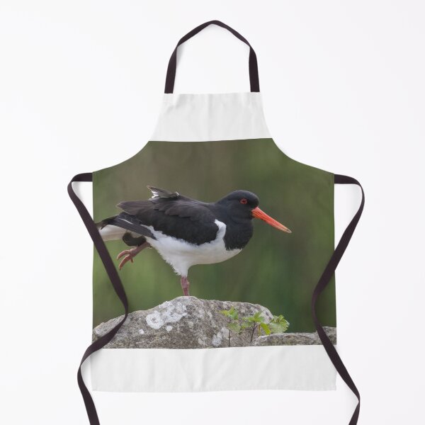 Item preview, Eurasian Oystercatcher designed and sold by LaurenTucker.