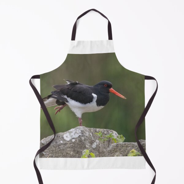 Item preview, Eurasian Oystercatcher designed and sold by LaurenTucker.