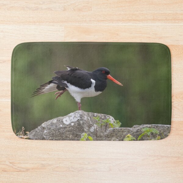 Item preview, Eurasian Oystercatcher designed and sold by LaurenTucker.