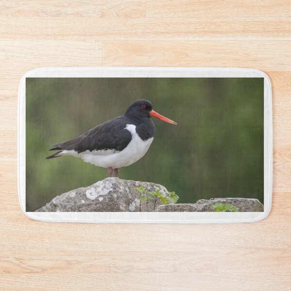 Item preview, Eurasian Oystercatcher designed and sold by LaurenTucker.