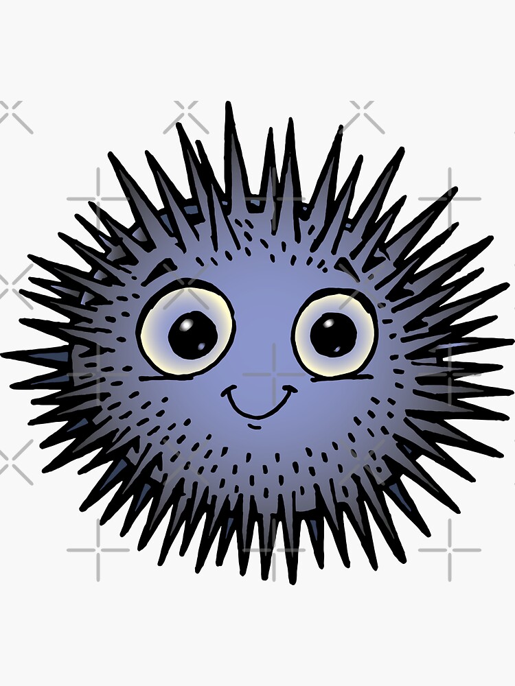 sea urchin by duxpavlic
