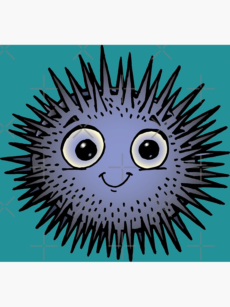 sea urchin by duxpavlic