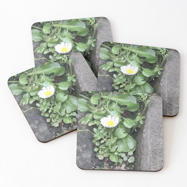 Item preview, A Daisy Lane Daisy designed and sold by Daisy Lane Gifts UK.