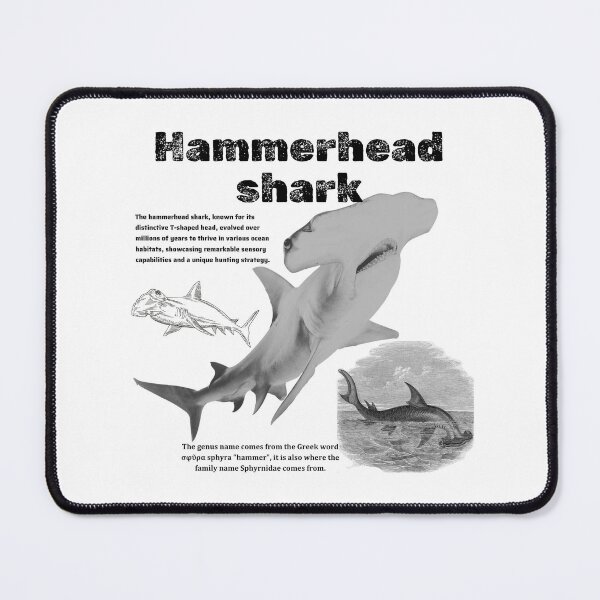 Item preview, Hammerhead Shark Etymology – Ocean Wildlife Art designed and sold by happiecatstore.